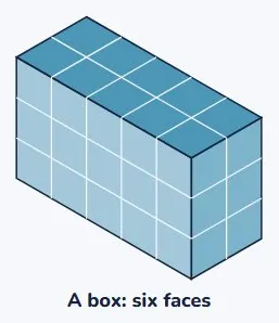 Year 10 counted the faces of a box