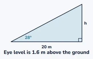 Angle of elevation: a tree