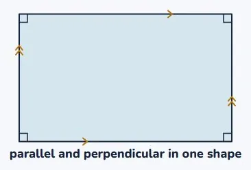 A rectangle has both