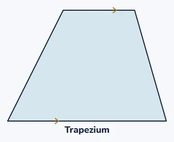 Trapezium: one pair of parallel sides
