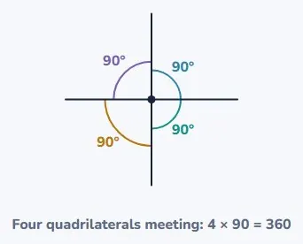 But every triangle and quadrilateral does