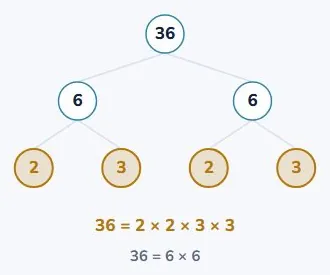 Break 36 apart, any way you like