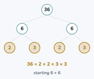 First tree: start with 6 × 6