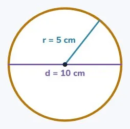 That number is pi, and it is a fact about circles